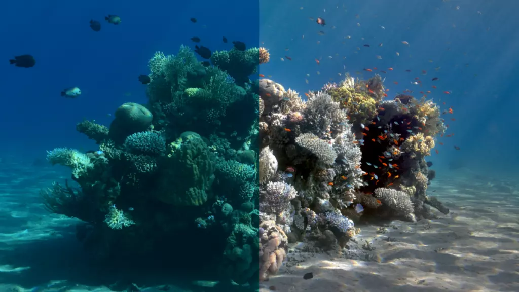 Underwater-image-processing